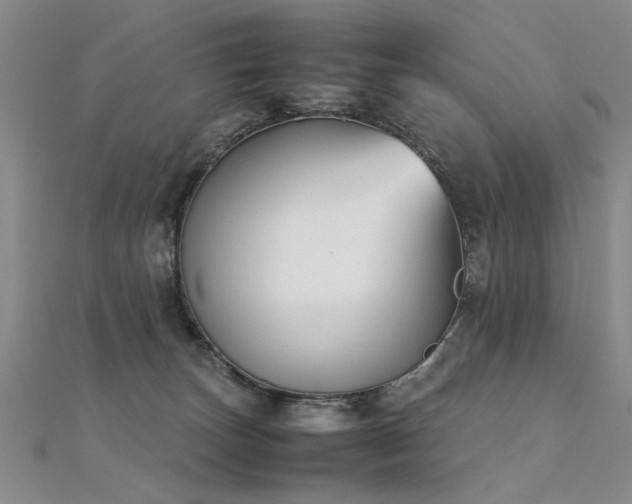 X0000112410179200908141408