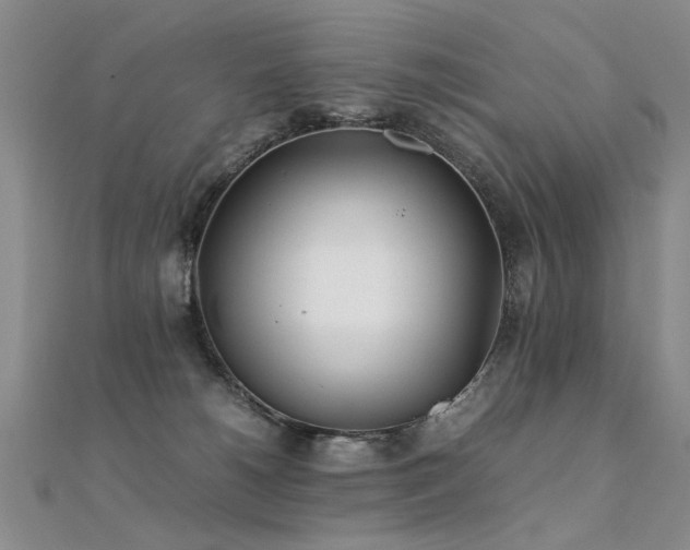 X0000112410180200908141408