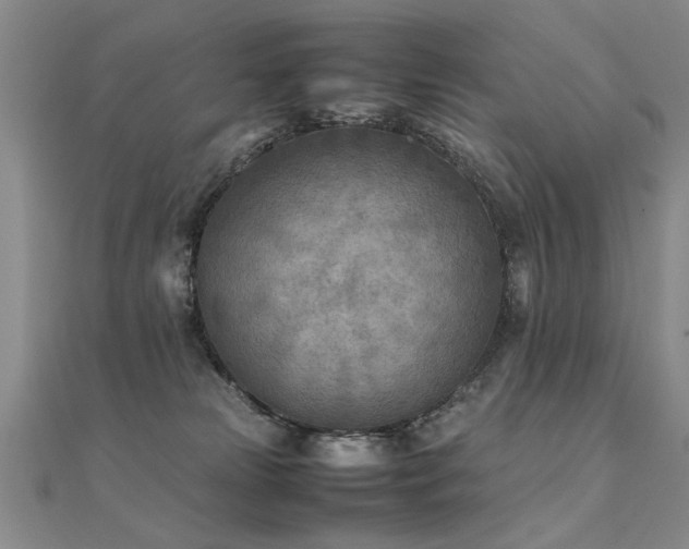 X0000112410181200908141408