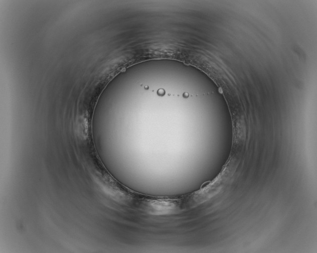 X0000112410183200908141408