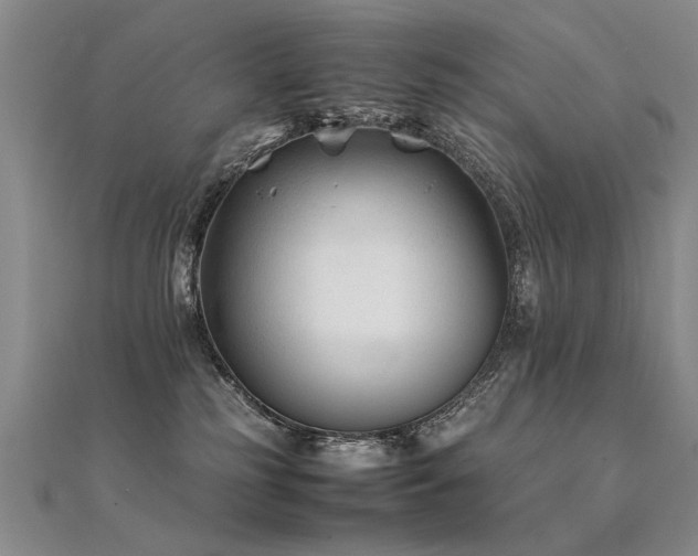 X0000112410185200908141408