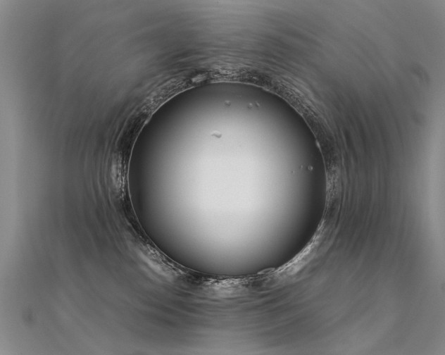 X0000112410186200908141408