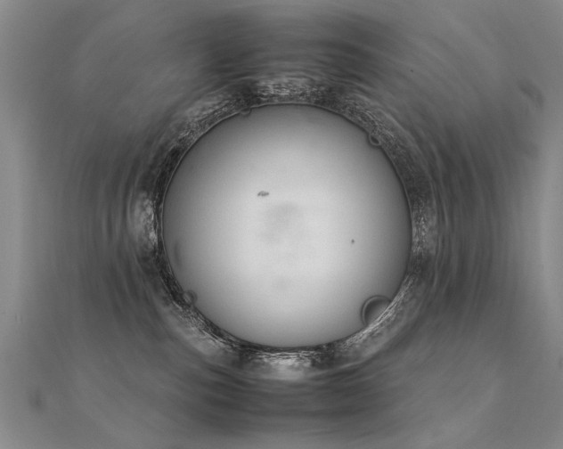 X0000112410187200908141408