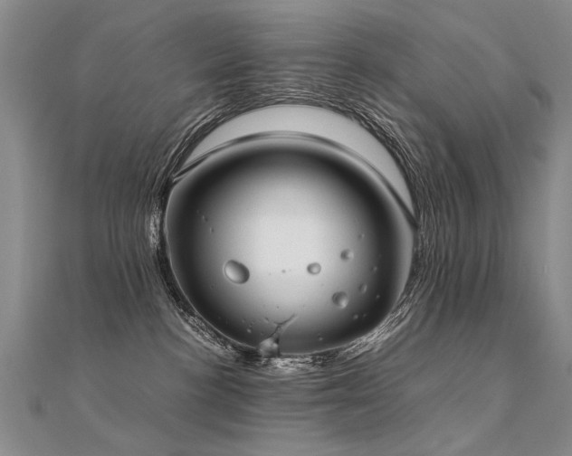 X0000112410188200908141408