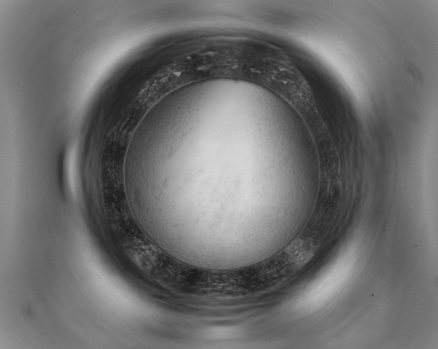 X0000112410189200908141408