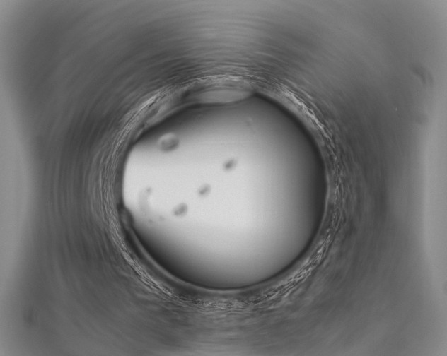 X0000112410193200908141408