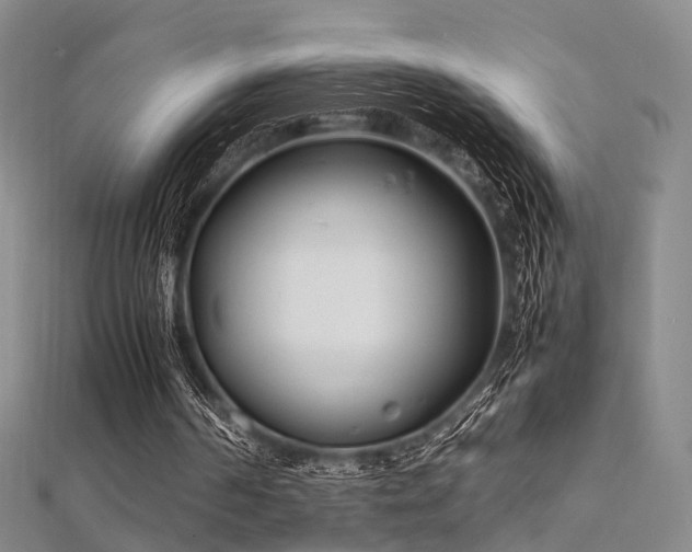 X0000112410194200908141408