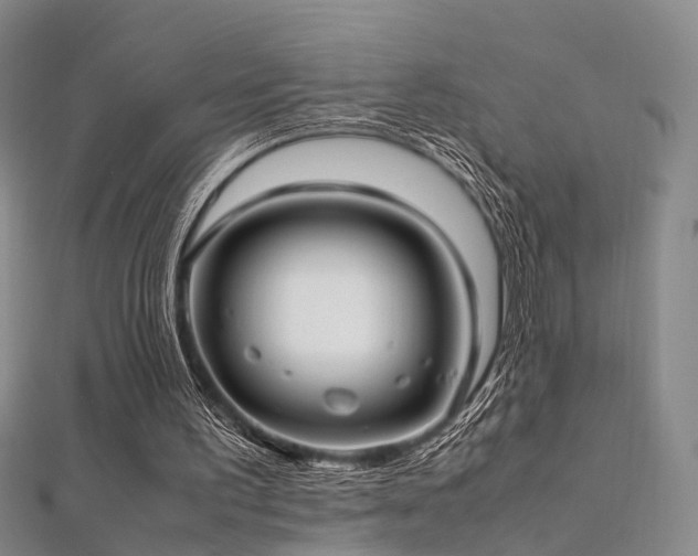 X0000112410195200908141408