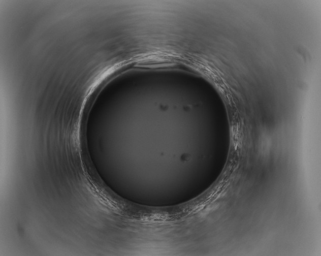 X0000112410196200908141408