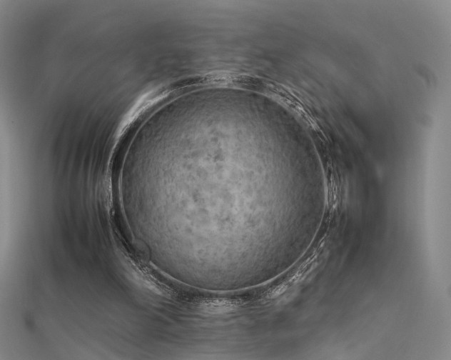 X0000112410198200908141408