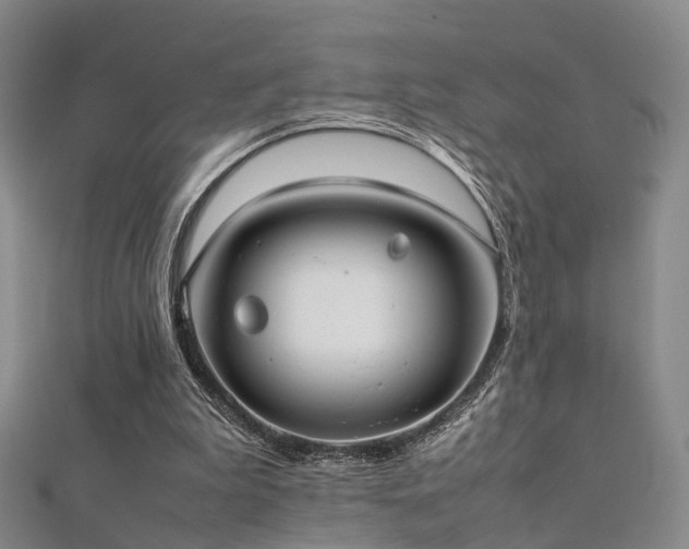 X0000112410199200908141408