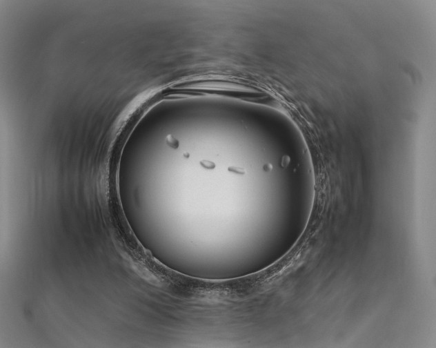 X0000112410200200908141408