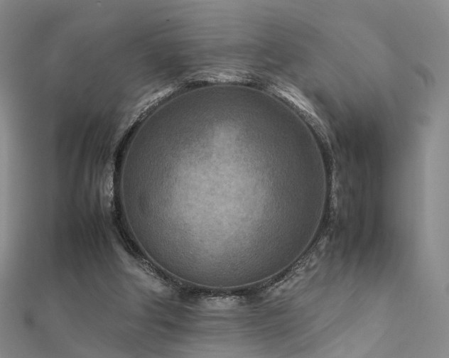 X0000112410202200908141408