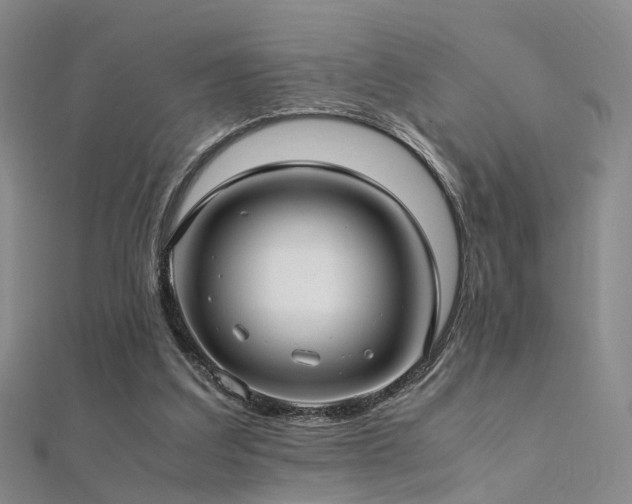 X0000112410203200908141408