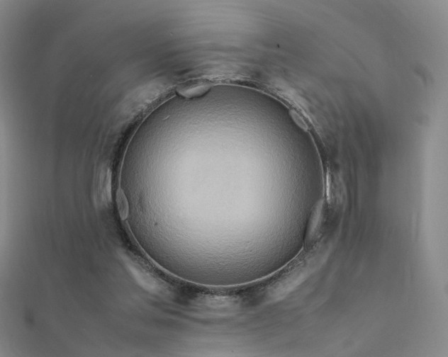 X0000112410205200908141408