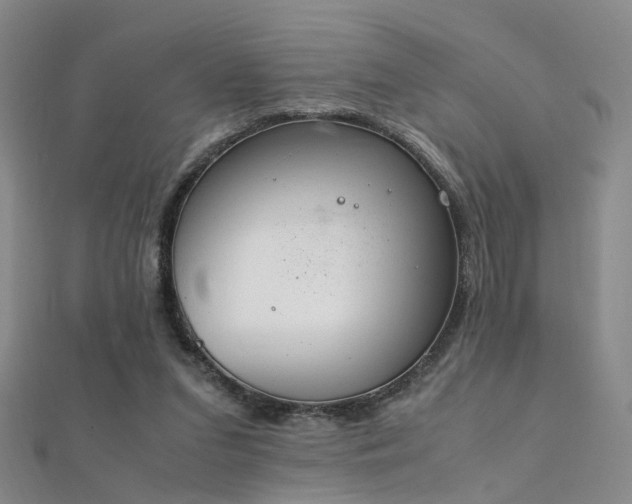 X0000112410207200908141408