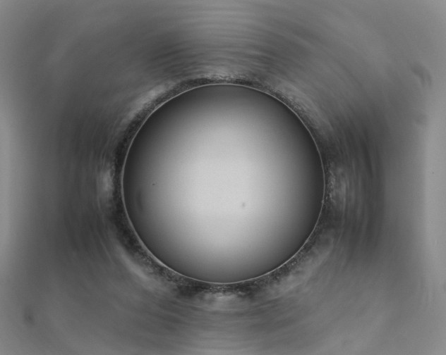X0000112410208200908141407