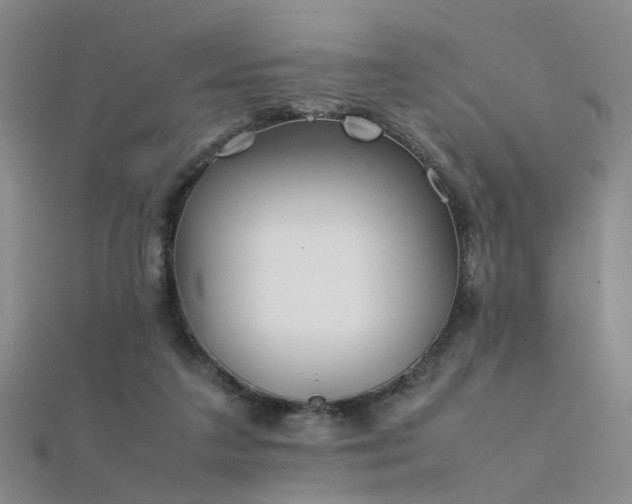 X0000112410211200908141407