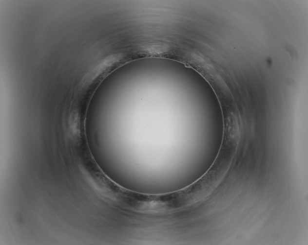 X0000112410212200908141407