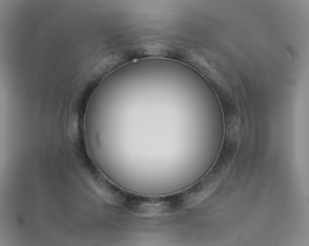 X0000112410213200908141407