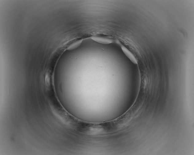 X0000112410214200908141407