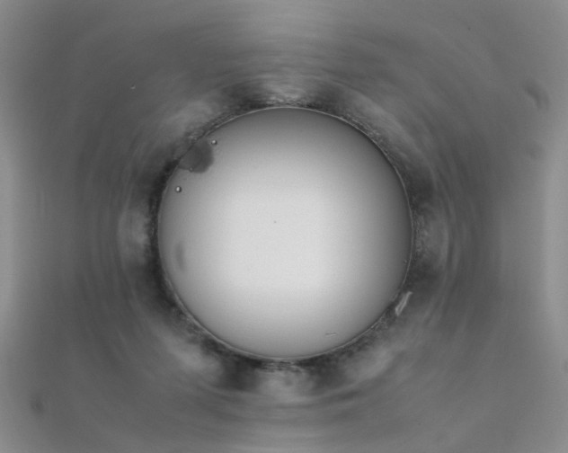 X0000112410215200908141407