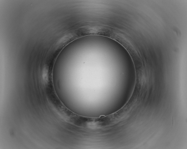 X0000112410216200908141407