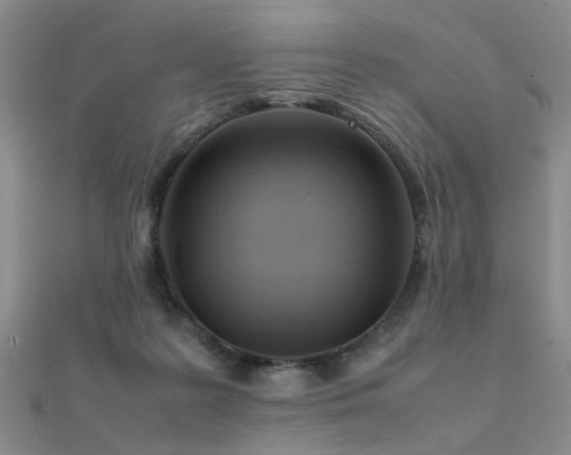 X0000112410219200908141407