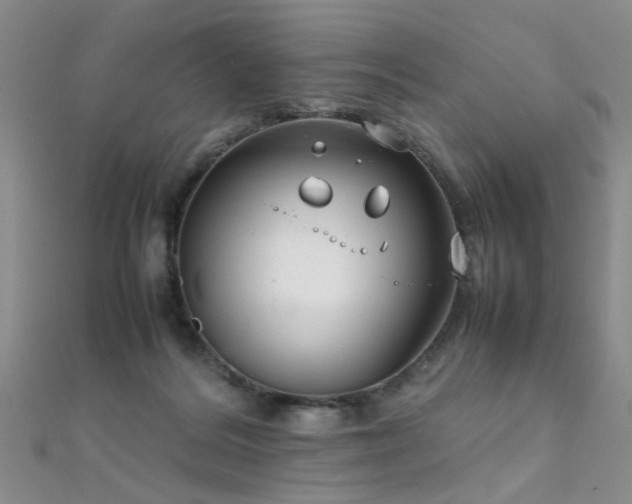 X0000112410220200908141407