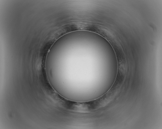 X0000112410221200908141407