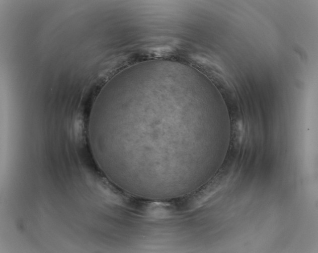 X0000112410222200908141407