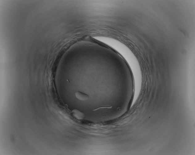 X0000112410223200908141407