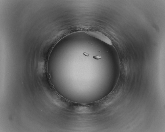 X0000112410224200908141407
