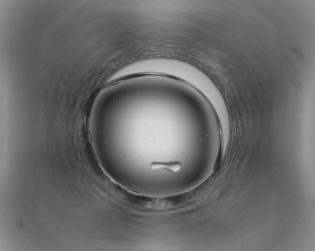 X0000112410225200908141407