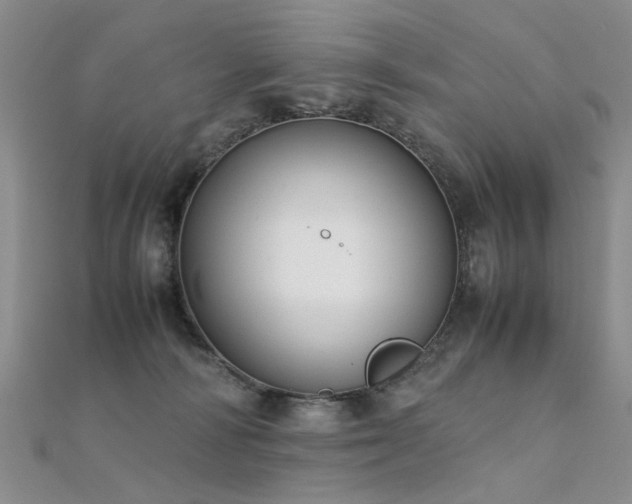 X0000112410226200908141407