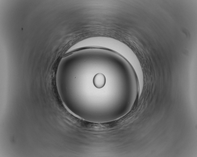 X0000112410229200908141407