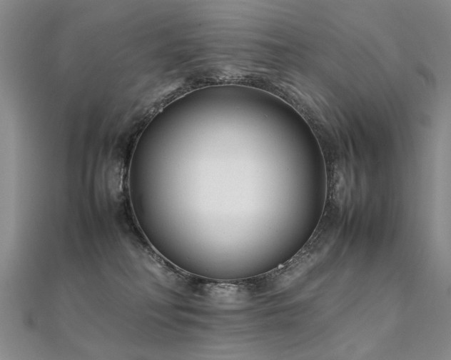 X0000112410230200908141407