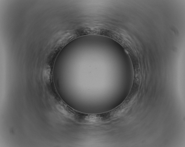 X0000112410231200908141407