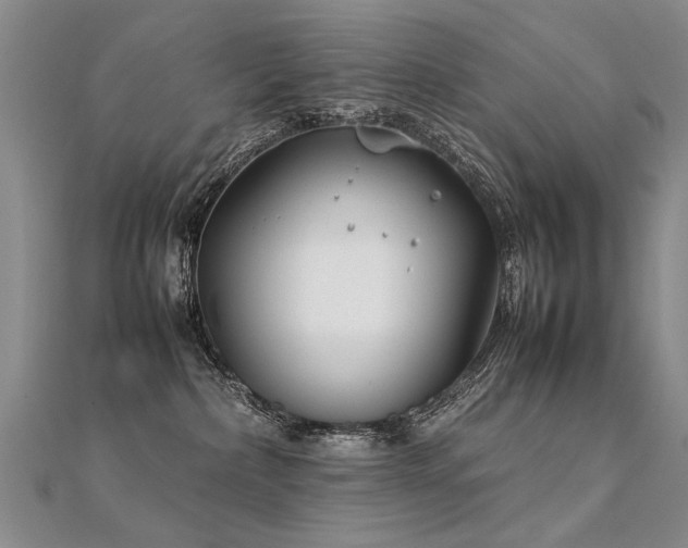 X0000112410236200908141407