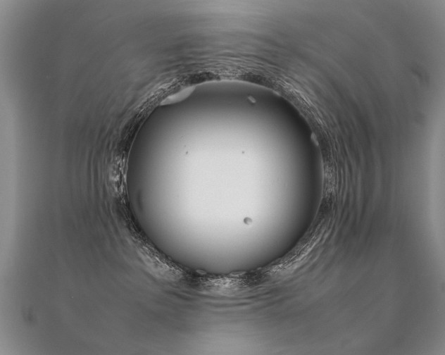 X0000112410237200908141407