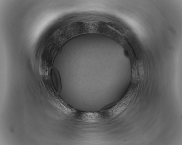 X0000112410239200908141407