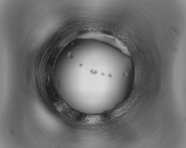 X0000112410240200908141407
