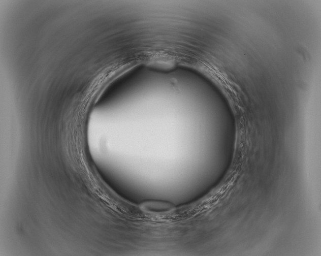 X0000112410241200908141406