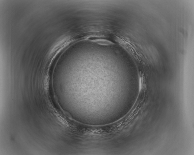 X0000112410243200908141406