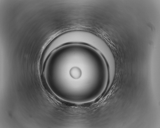 X0000112410244200908141407