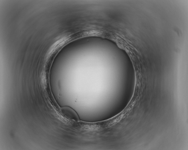 X0000112410245200908141407