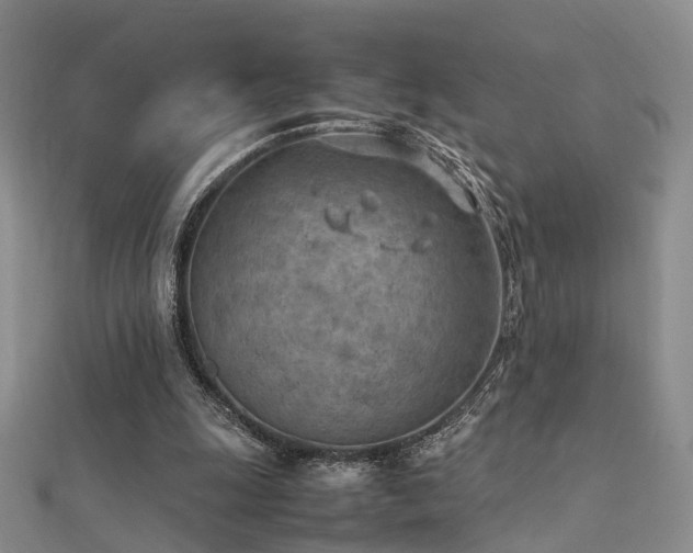 X0000112410247200908141407