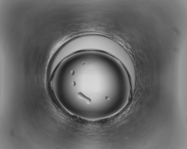 X0000112410248200908141407