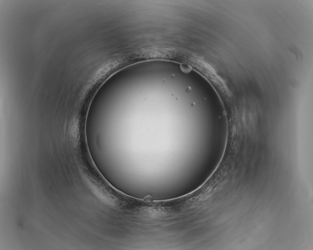 X0000112410250200908141407