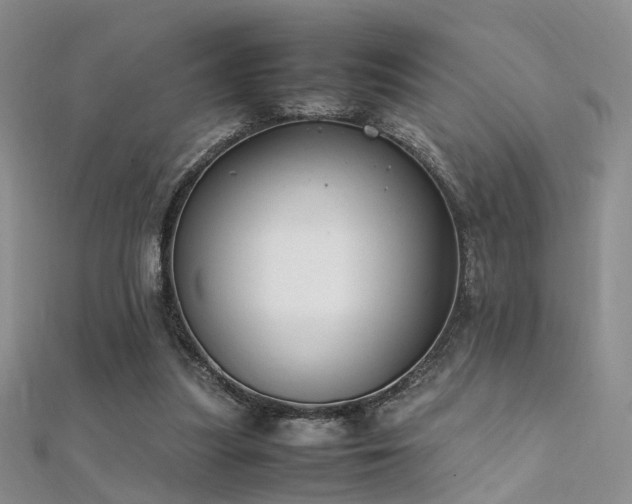 X0000112410251200908141407